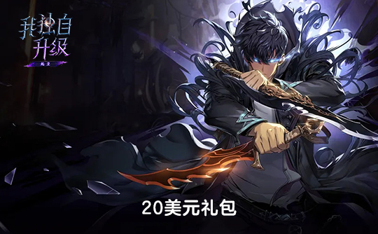 20美元礼包（国际服）上号代充 我独自升级：Arise